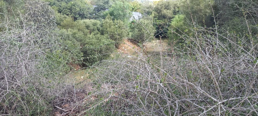 0 Bedroom Property for Sale in Bayswater Free State